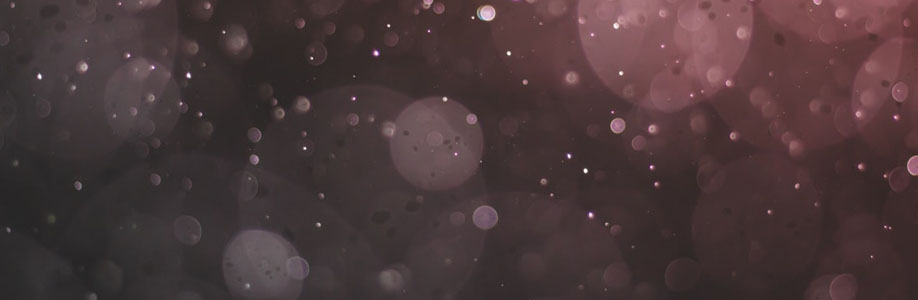 bigbull Cover Image